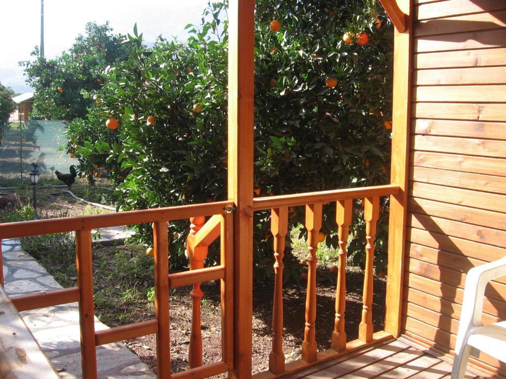 Bungalow with Garden View,644646252:JPEG