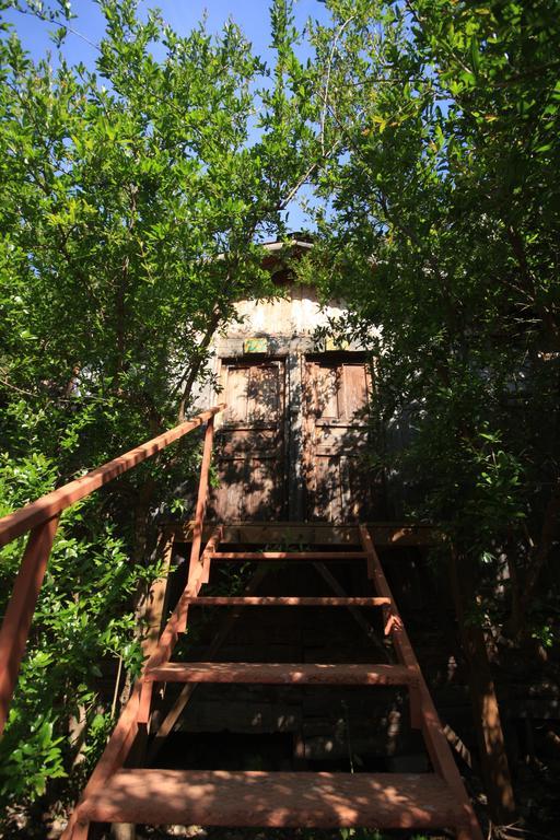 Bungalov (3 Yetişkin)