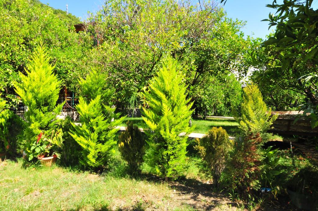 Bungalow (2 Adults + 1 Child)
