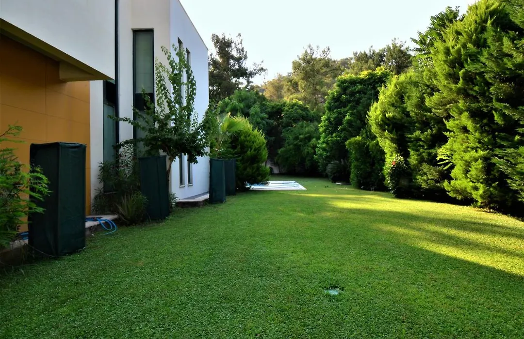 Villa Diva-1