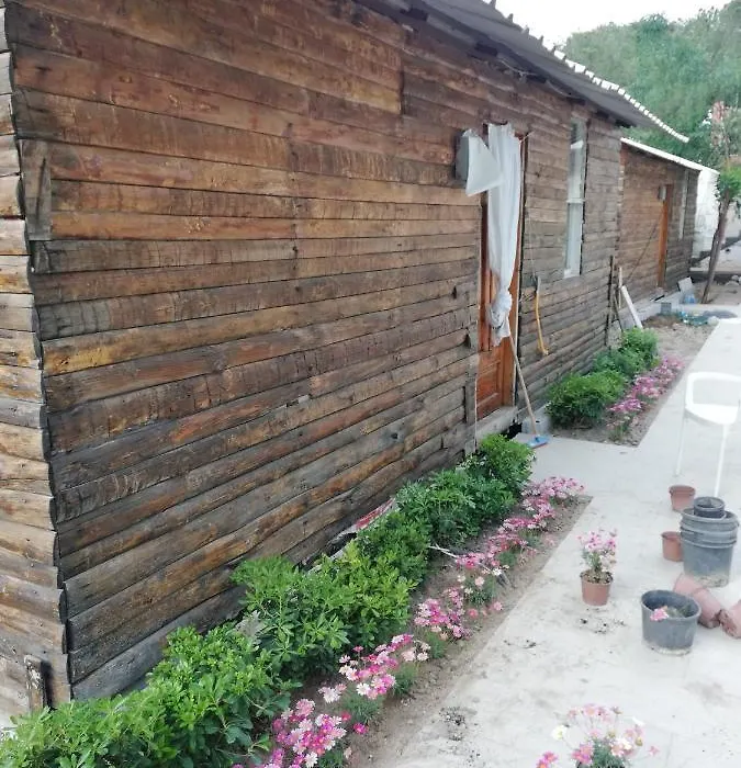 Lime Tree Houses-1