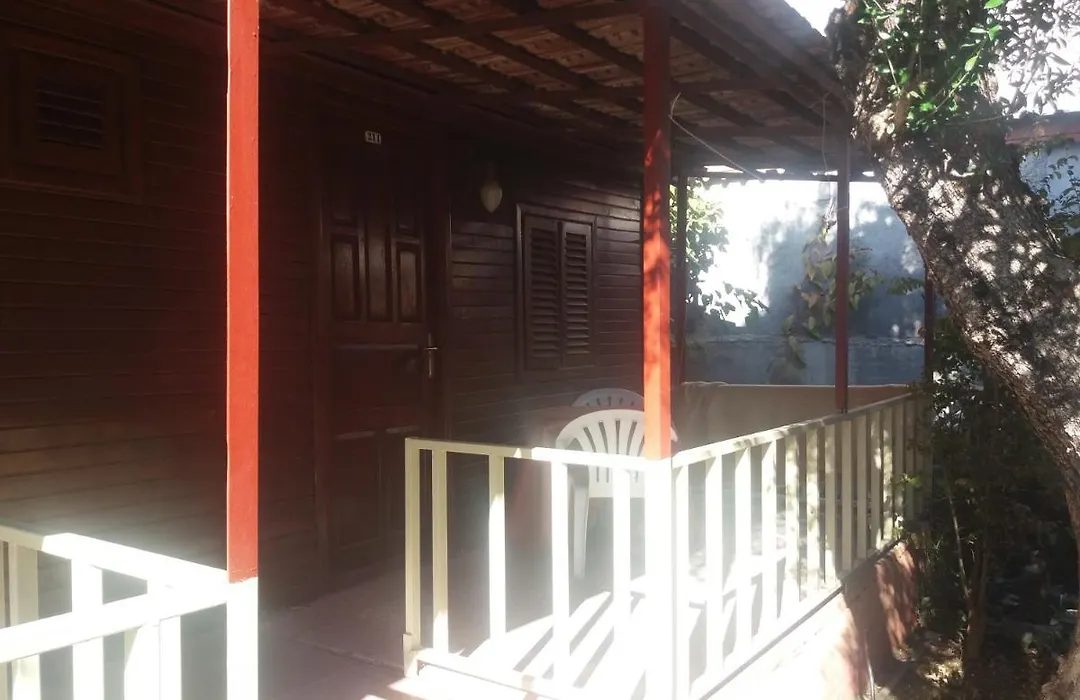 Oll Garden-1
