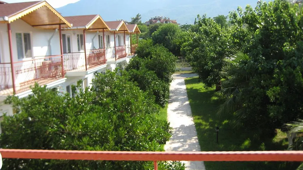Paradise Holiday Homes-1