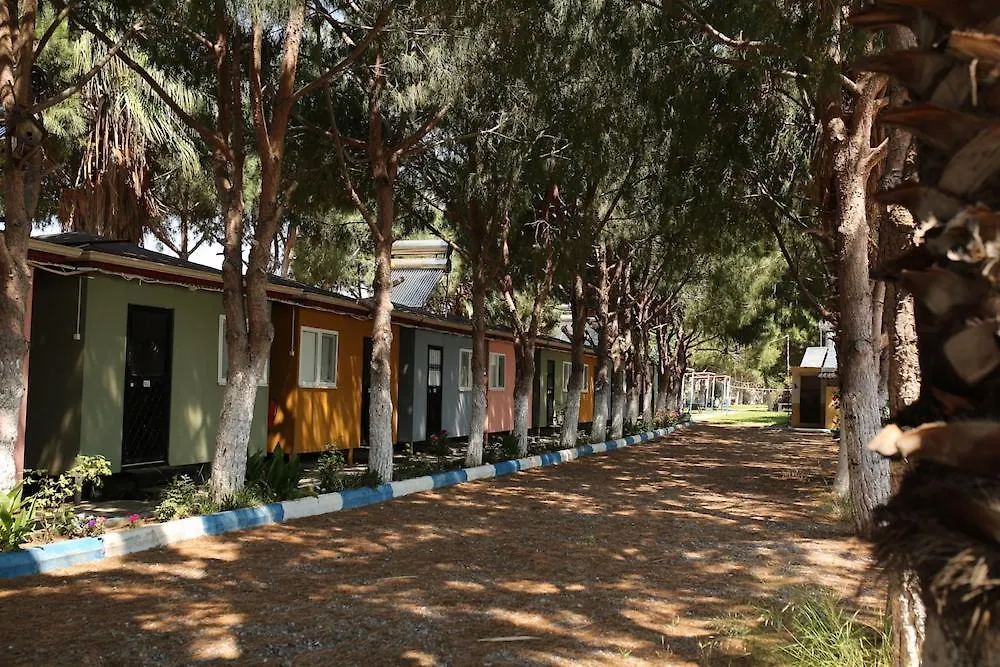 Tamam.Camp-1