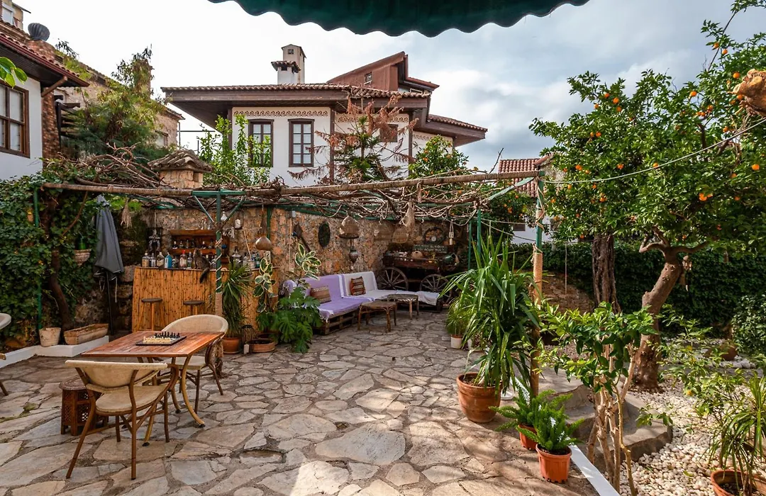 Villa Tulipan-1