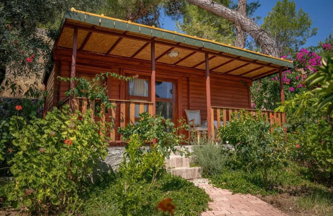Felicity Hotel & Bungalows-1