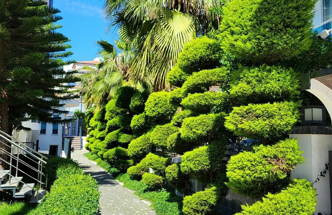 Elite Marine Residence - Cleopatra, Center-1