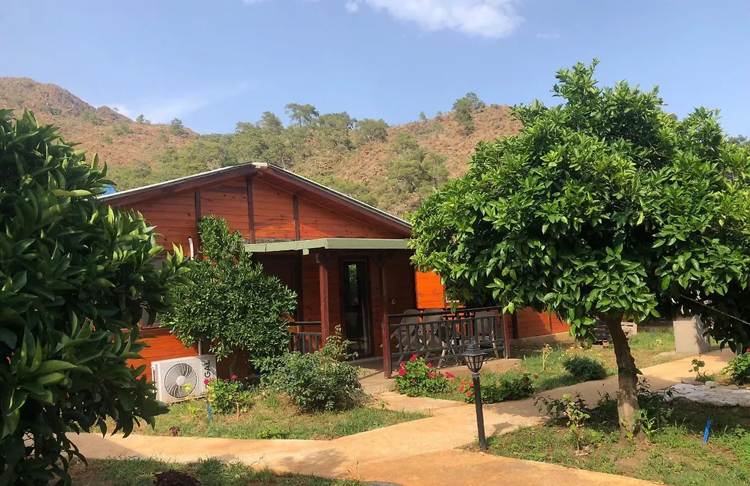 Anka Bungalov Hotel-1