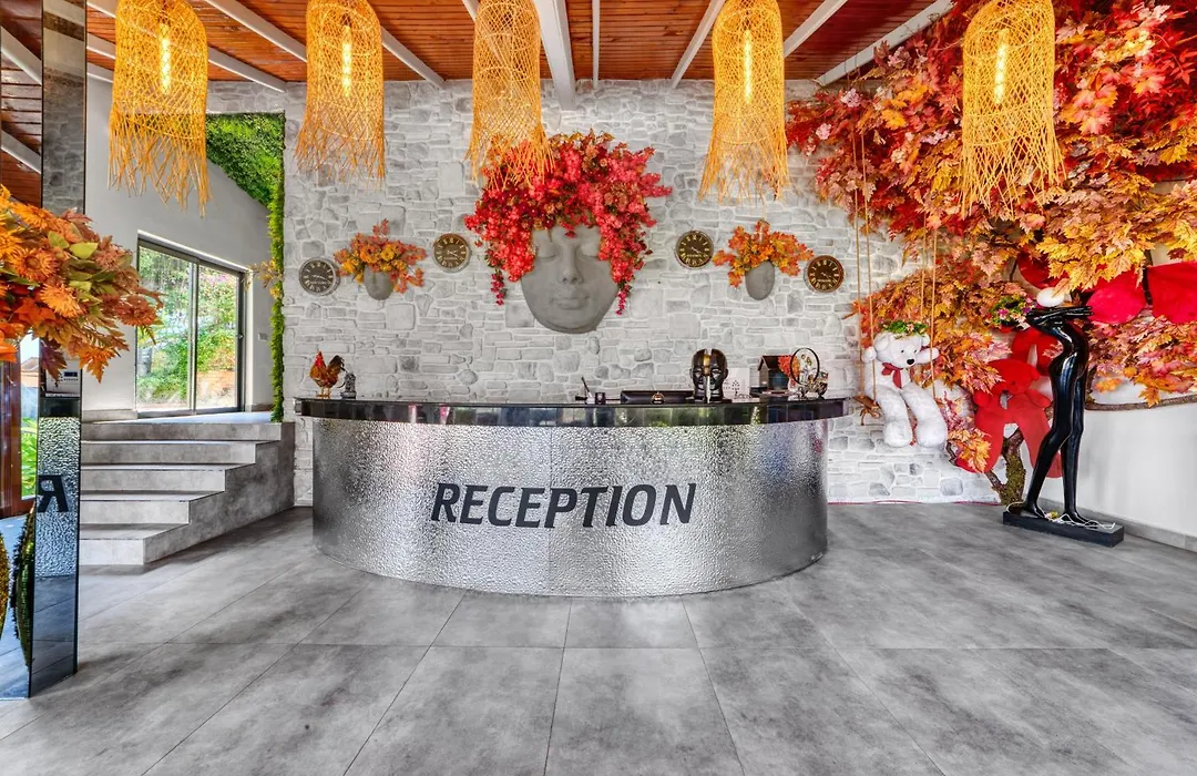 Illusion Beach & Clubhotel - Adults Only-1