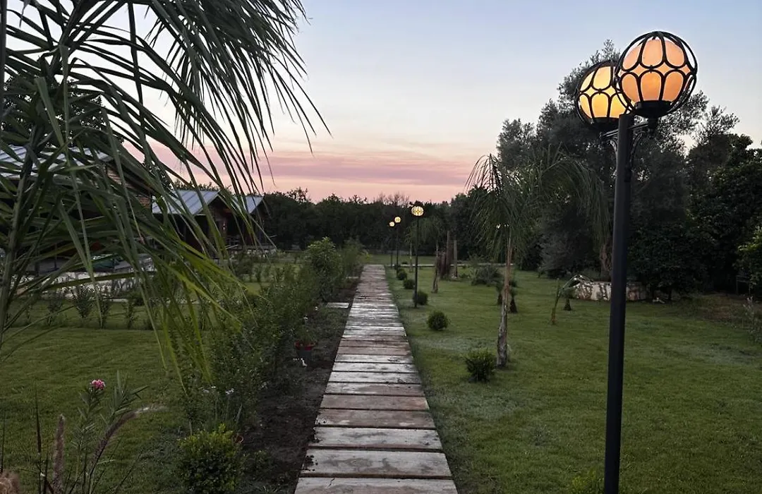 Cirali Simge Holiday Houses-1