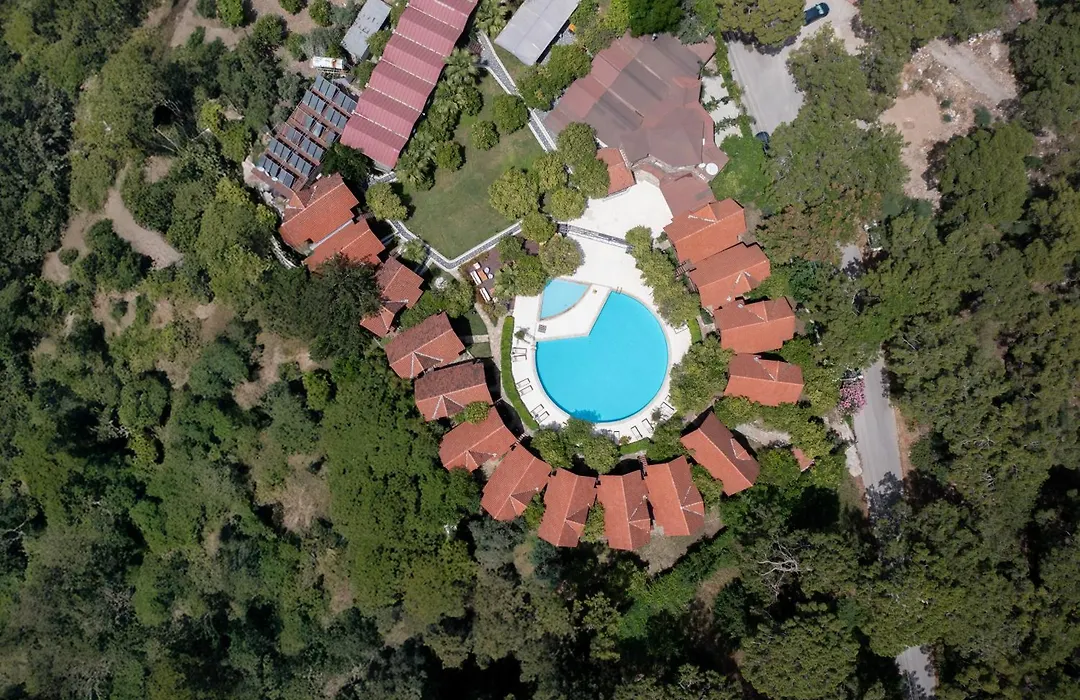Woodline Hotel-1
