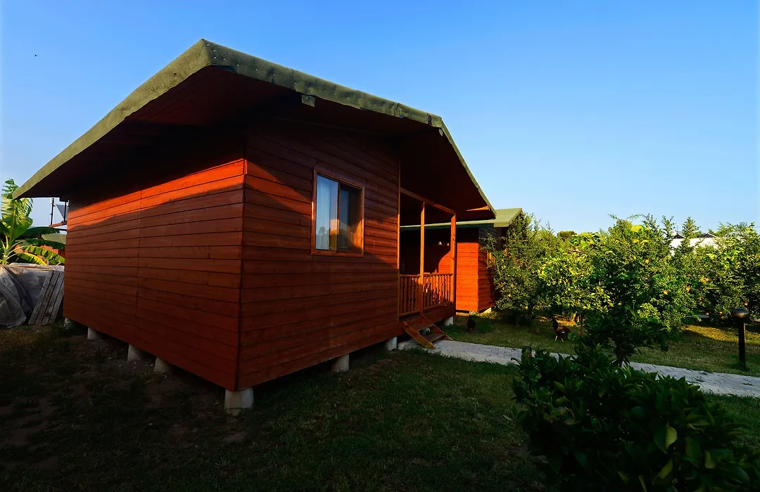 Yildiz Pension Bungalows-1
