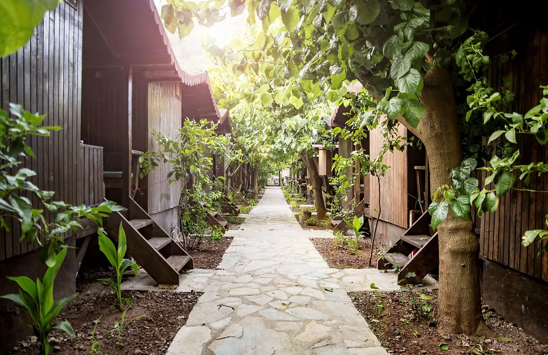 Base Bungalows-1
