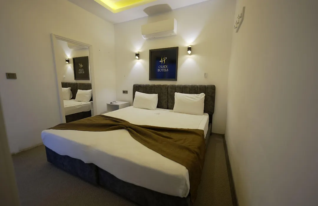 Olsen Hotels-1