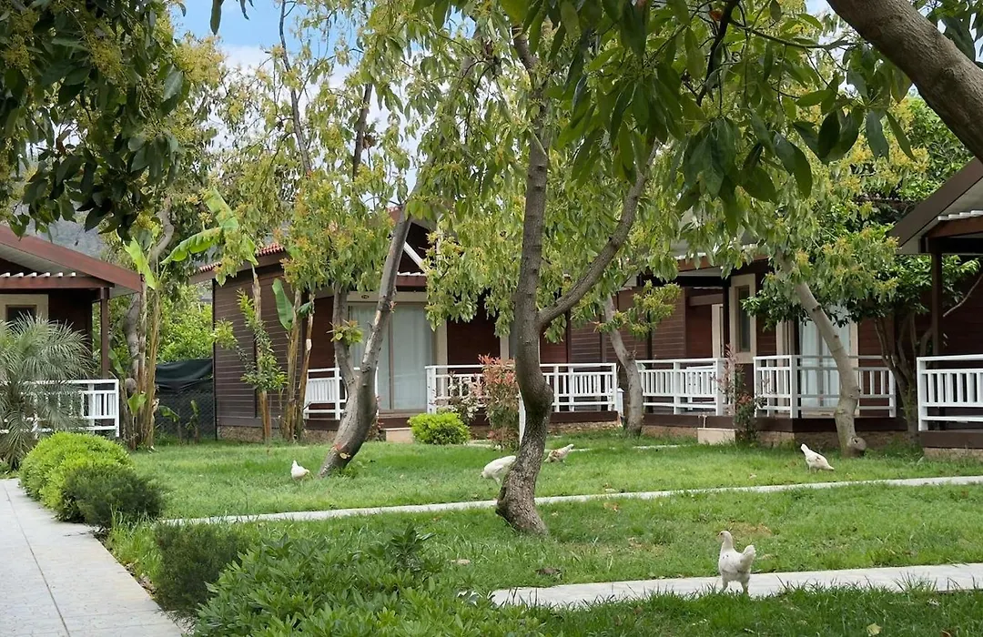 Apella Hotel-1