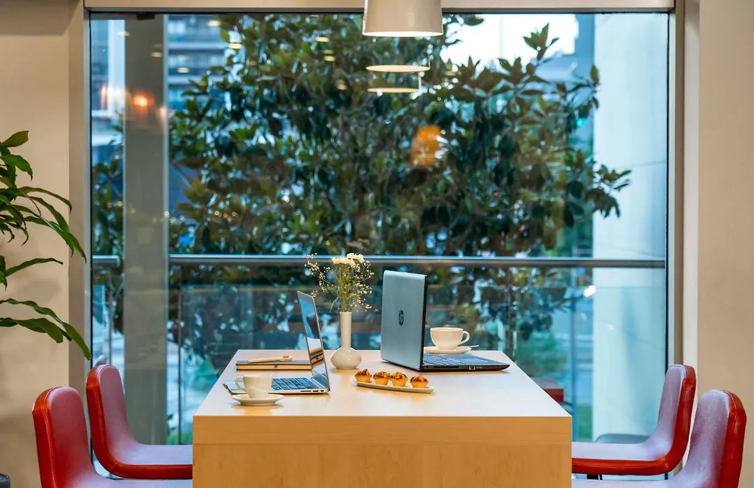 Ibis Adana-1