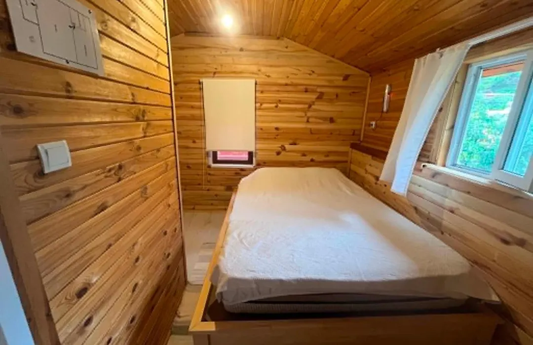 Naz Apartlari Cirali-1