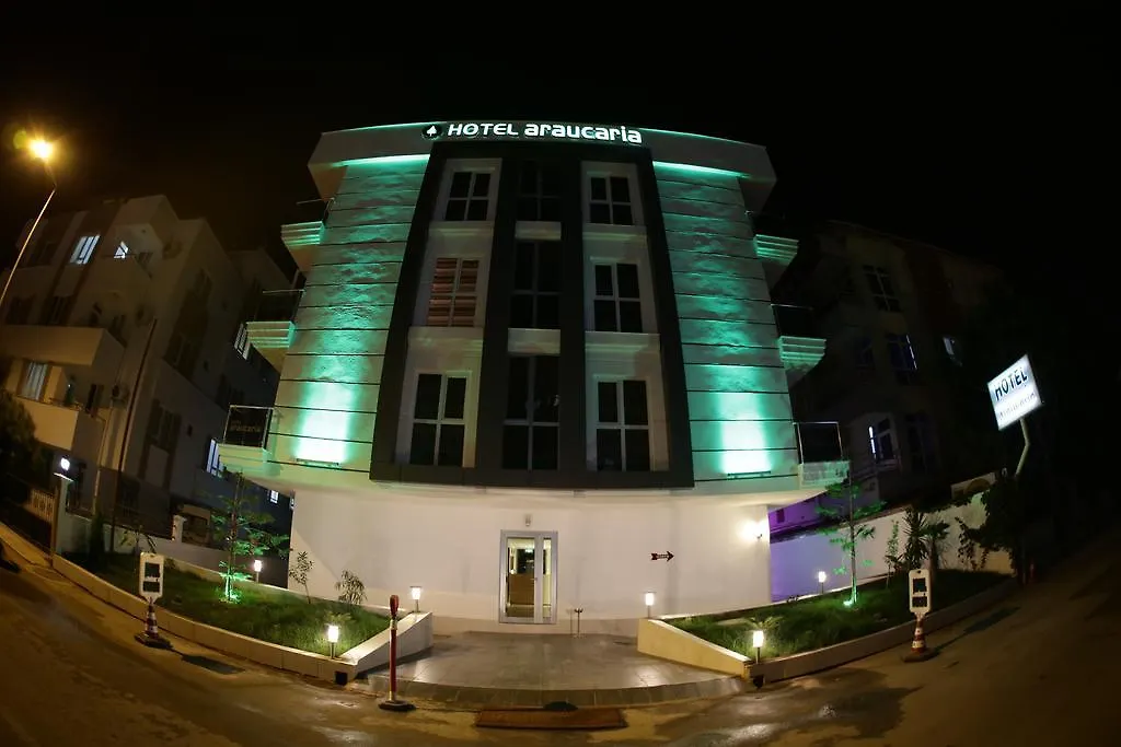 Araucaria Pension-1