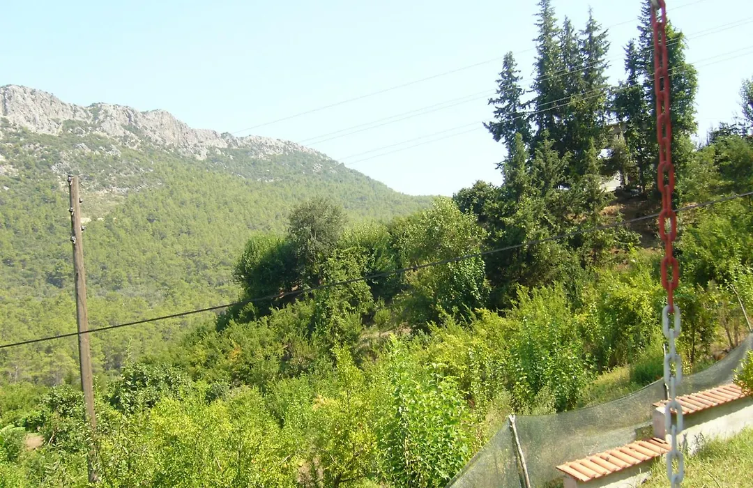 Waldvilla-1
