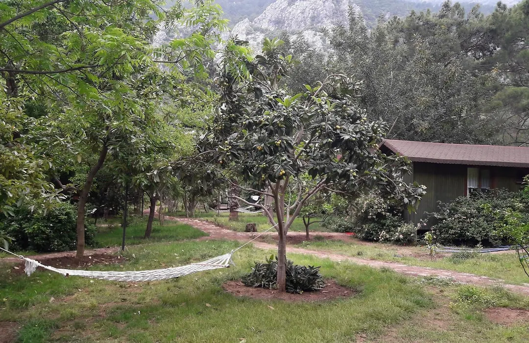 Kibala Hotel-1