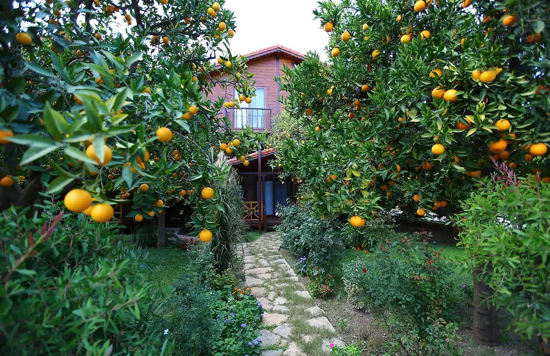 Bahce Villa-1