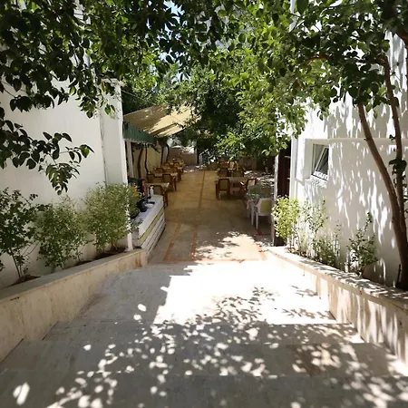 Paradise Hotel-2
