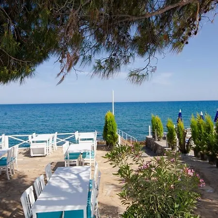 Mojo Otel Beach-3