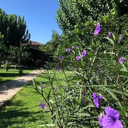 Ozge Bungalow Hotel-2