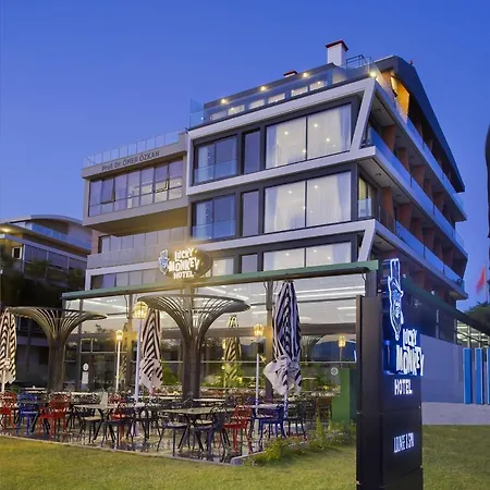 Lucky Monkey Hotel-3