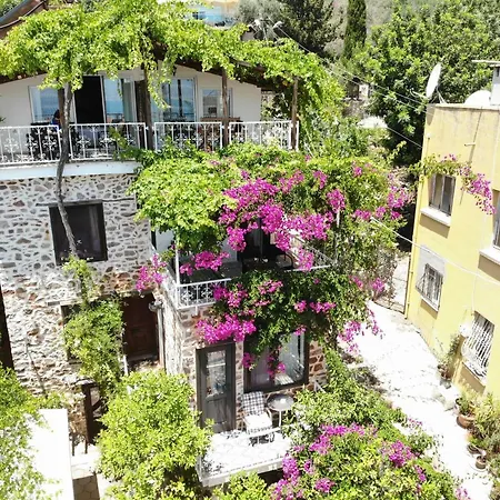 Lemon Villa Hotel (Adults Only)-3