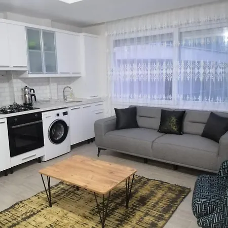 Alper Bey Homes-3