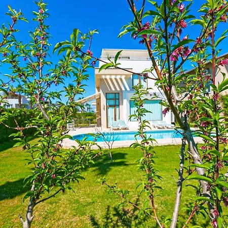 Paradise Town Villa Daisy-3