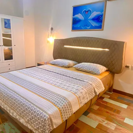 Jazzy Homes Top Class,100 Mb Fast Internet-3