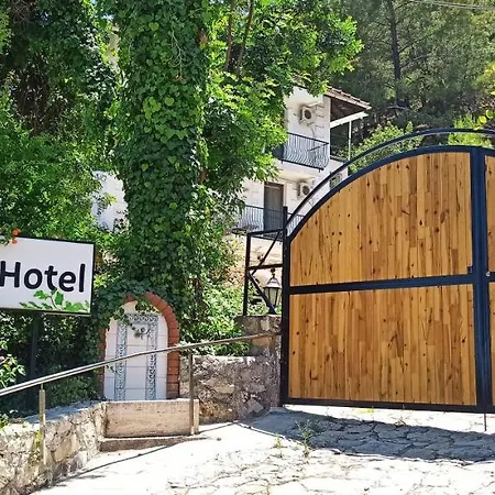 Swiss Eviniz Hotel - Adult Hotel-3