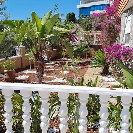 Camelia Villa-2