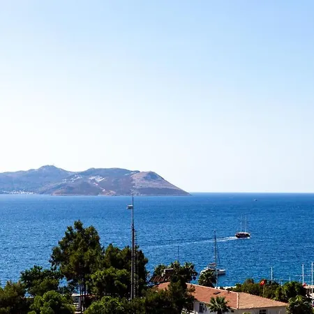 Cedrus Suites-3