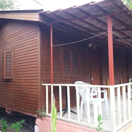 Oll Garden-2