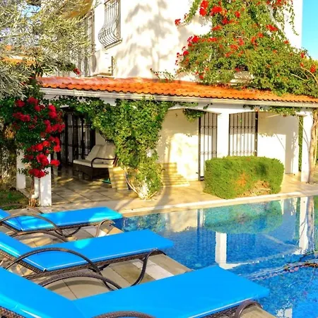 Gorgeous Secluded Villa With Private Pool And Bbq-3