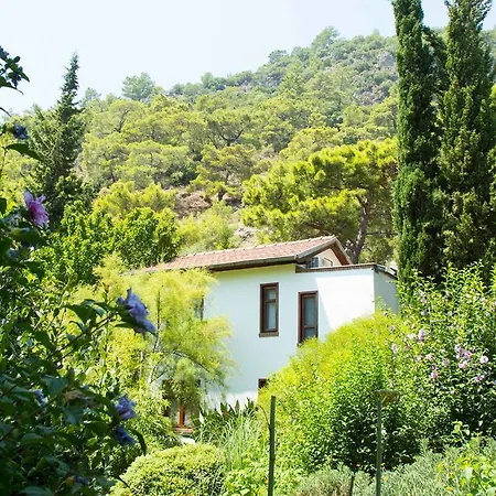 Dostlar Pension-3
