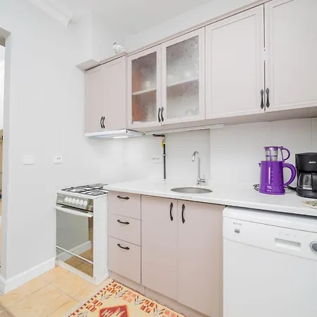 Elegant And Full Furnished Flat With Balcony-2