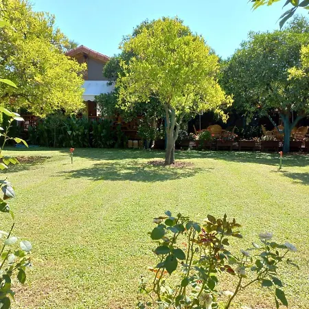 Bahce Villa-2
