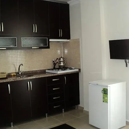 Elsira Apart-2