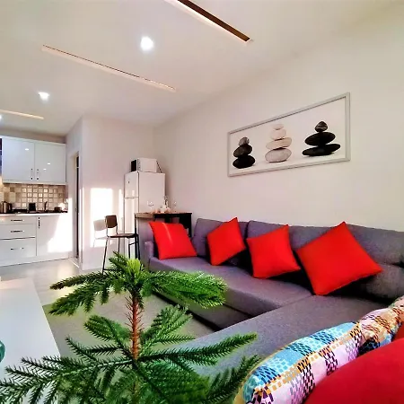 Central And Fully Furnished Flat In Muratpasa-2