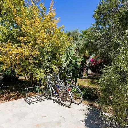 Peaceful Flat With Shared Pool In Camyuva Kemer-3