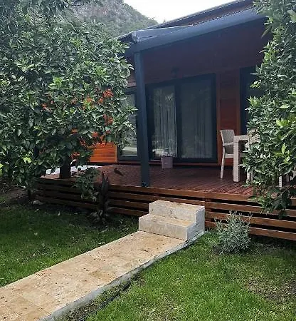 Julya Tiny House-3