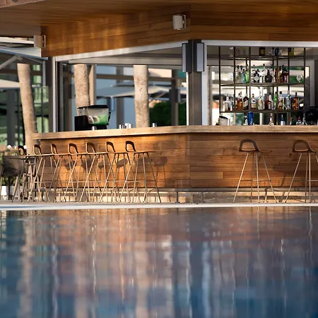 Acanthus Cennet Barut Collection-2