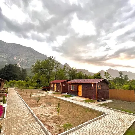 Grandfather House-2