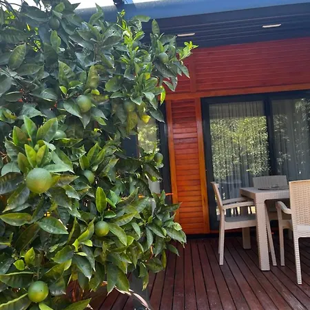 Julya Tiny House-2