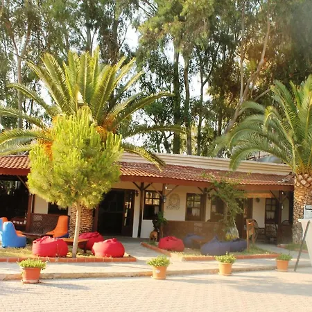 Medusa Camping-3
