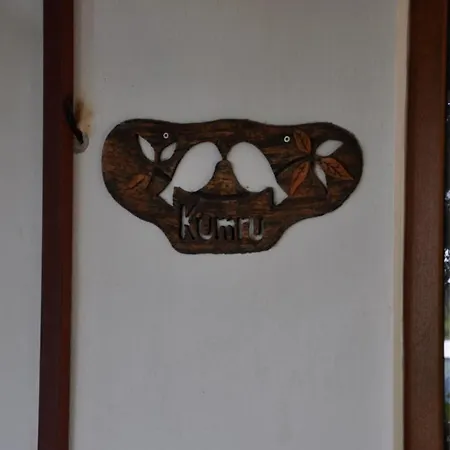 Cirali Kus Yuvası-2